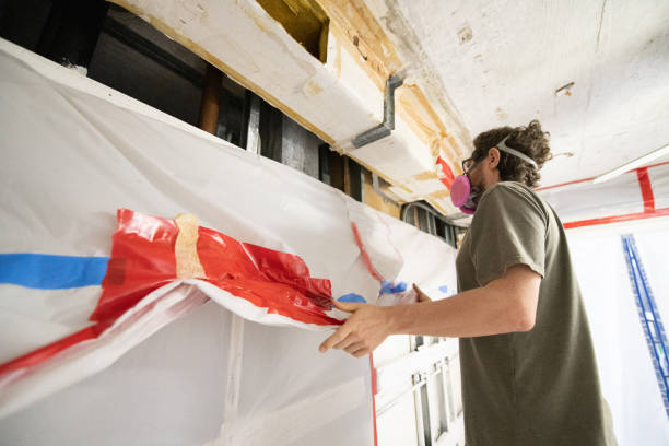 Best Mold Remediation for Healthcare Facilities  in Berrien Springs, MI
