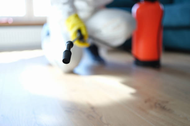 Best Commercial Mold Inspection  in Berrien Springs, MI